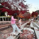 CU 동해무릉숲점 | 강원도 단풍명소 동해 가볼만한곳 여행코스 추천 두타산 무릉계곡