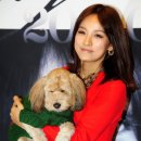 순심이
