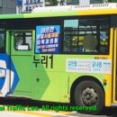 쇳골마을.궁내동톨게이트 | 버스 누리1번 (성남시장례문화사업소 ↔ 쇳골마을.궁내동톨게이트) 자일대우 BS090 NGV 6426호 2020년식