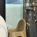 삼진남