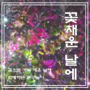 꽃채운 네이버블로그