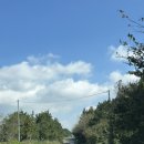 바리메오름 | 바리메오름 제주, 소요시간, 주차장, 포토존 위치, 가는길 총정리