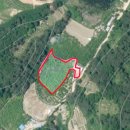 용산2농장 이미지