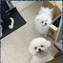 나니헤어디자인 이미지