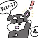 무무마켓