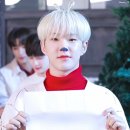 Hoshi please stop bleaching 이미지