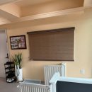 별이알이 댕댕샵 이미지