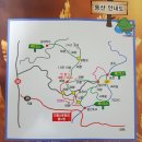 동아고속관광㈜ 이미지