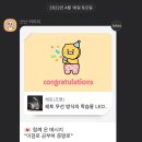 이듬해봄 이미지