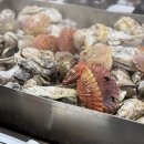 천북굴단지 이미지