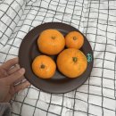 노지컴퍼니
