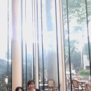 커피빈서초역1번출구 이미지