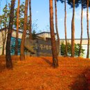 탄금공원 (탄금대로 방향) 이미지