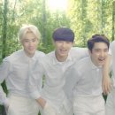 코네이처