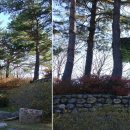 삼수령탑 이미지