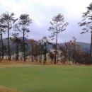 코스카cc 이미지