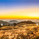 황매산 억새축제 이미지