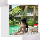 호텔 진 | 발리 자유여행 숙소 추천 위치 좋은 진짱구 호텔 솔직후기