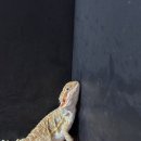 와우(양산점) 이미지