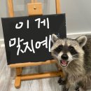 진도돈마당 | 25년 11월 월말결산 : 사람의 사랑은 왜 불가피하고