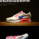 [품절]맥스90 시티팩 아이스시티 Air Max 90 City Pack 'Ice City' 667635 001 이미지