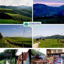 지연목장 이미지