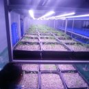 수정동농장 이미지