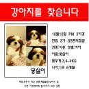 안암5 이미지