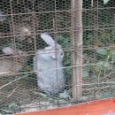 무주읍147 네이버블로그