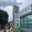 장국보건진료소 | 제주도 현지인 맛집 : 서귀포 안덕면 콩이네두부 (뽀로로테마파크 근처)