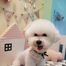 문정미용타운 이미지