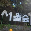 성동구 금호분소 | [당여니 #41] 서울숲 &#34;우리가족 숲 나들이&#34; 후기 (by 성동구육아종합지원센터)