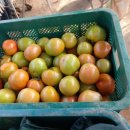 덕일농장 이미지