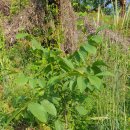 교리농장 이미지