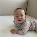 에코비아 - 791 | 끝판조합. 일룸 쿠시노, 엘라비아 S6 퀸사이즈, 이몽...매트, 듀폰 타이백 매트리스 커버 내돈내산 후기