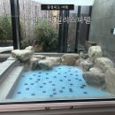 수안보로 | 충주 수안보 가족탕 패밀리스파텔 노천탕 1박 2일 후기