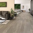 대게마루 이미지