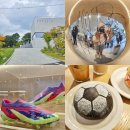 꿈다 | 춘천 놀거리 인필드 카페 손흥민 공원 주말 웨이팅 솔직 후기 NOS7 굿즈 축구공빵