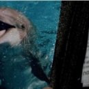 그랑블루 이미지