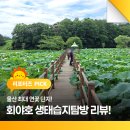 울산 최대 연꽃 단지! 회야호 생태습지탐방 리뷰!
