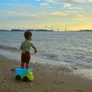 서해바다 이미지