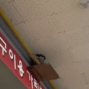 울진대게집일출 이미지