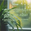 복된 장마비 - 7176 | 복된 장마비