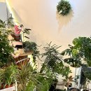 산호대로35길-2 이미지