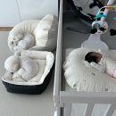 정원동물병원 | 양주 나무정원 여성병원 제왕절개 후기 1인실 구관 1인실 신관