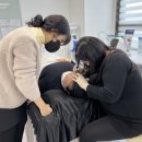 일린 뷰티 아카데미 이미지