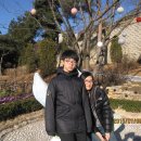 해바리민박 이미지