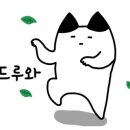 레아네일 이미지