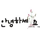 W181스테이 이미지