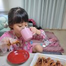 날아라꼬끼오 이미지